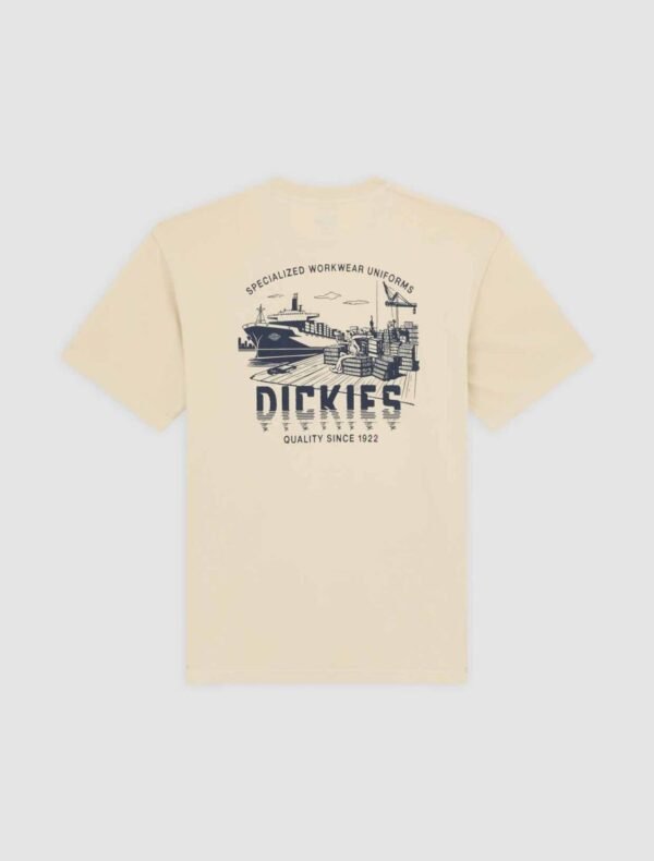 DICKIES PELHAM TEE SS